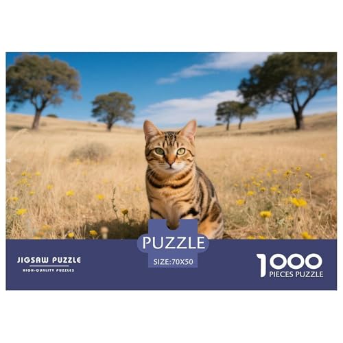 California Spangled, 1000-Teile-Puzzle, Fesselndes Und Entspannendes Hobby, Ideal Für Dekoration Oder Erinnerung, Ab 12 Jahren,Haustier Katze, 70x50cm/1000pcs California Spangled, 1000-Teile-Puzzle, Fesselndes Und Entspannendes Hobby, Ideal Für Dekoration Oder Erinnerung, Ab 12 Jahren,Haustier Katze, 70x50cm/1000pcs von QEVAWPAE