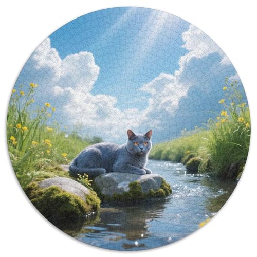 ChartreuxRundes Puzzle (1000 Teile) MitHaustier Katze, Für Gemeinsame Abende Mit Freunden Und Familie 1000pcs (67.5x67.5cm) von QEVAWPAE