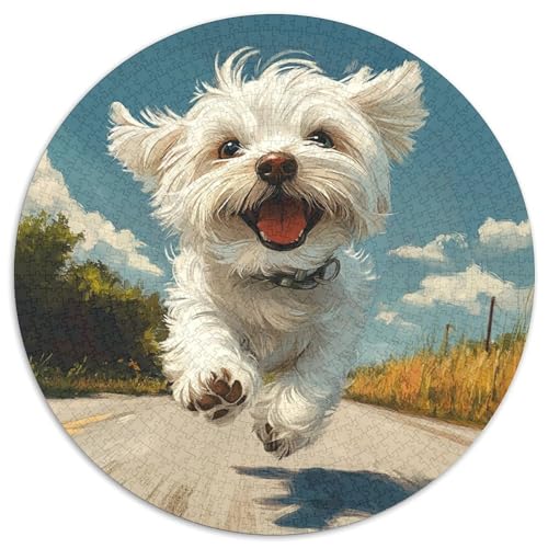 Chien maltaisRundpuzzle Mit 1000 Teilen UndLilie des Tals, EIN Herausforderndes Erlebnis Für Ruhige Abende Im Wohnzimmer, Ideal Für Erwachsene 1000pcs (67.5x67.5cm) von QEVAWPAE