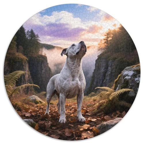 Der Staffordshire Bull Terrier1000-teiliges Rundpuzzle MitHaustierhund, Eine Herausforderung Für Strategen Und Träumer 1000pcs (67.5x67.5cm) von QEVAWPAE
