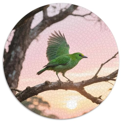 Emerald Vogel1000 Stück Rundes Puzzle Fortgeschrittenes Niveau Für Jugendliche Und Erwachsene Gehirntraining Visuelles LernenVogel Optimal Für Bildungseinrichtungen 1000pcs (67.5x67.5cm) von QEVAWPAE