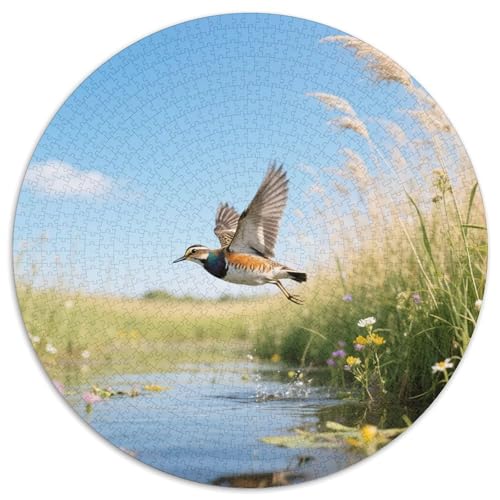 Gemalt Snipe1000 Stück Rundes Puzzle Einfach Und Spaß Für Senioren Visuelle Aufmerksamkeit Langsames HobbyVogel Ruhestand Geschenk Wohnkultur 1000pcs (67.5x67.5cm) von QEVAWPAE