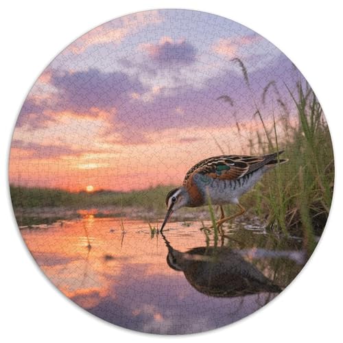 Gemalt Snipe1000 Stück Rundes Puzzle Fesselnd Für Jugendliche Und Erwachsene Fantasievolles DesignVogel Künstlerische Präsentation 1000pcs (67.5x67.5cm) von QEVAWPAE