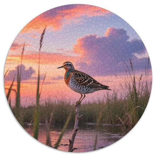 Gemalt Snipe1000 Stück Rundes Puzzle Für Anfänger Ab 12 Jahren KonzentrationstrainingVogel Freizeit Tischdisplay 1000pcs (67.5x67.5cm) von QEVAWPAE