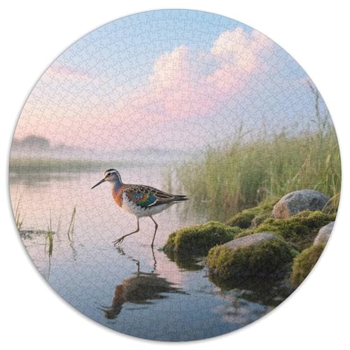 Gemalt Snipe1000 Stück Rundes Puzzle Kognitive Entwicklung Für Junge Erwachsene Mentale KonstruktionVogel Kreativer Auslass Raumdekoration 1000pcs (67.5x67.5cm) von QEVAWPAE