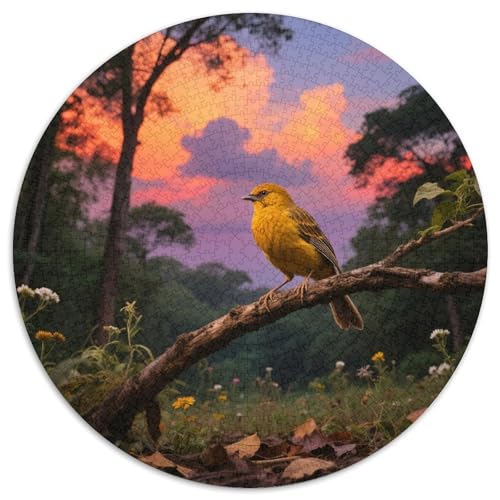 Goldenen Weaver1000 Stück Rundes Puzzle Mittlerer Schwierigkeitsgrad Für Paare Hand-Auge-KoordinationVogel Perfekt Für Wanddeko Geschenk 1000pcs (67.5x67.5cm) von QEVAWPAE