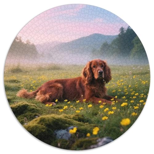 Irischer Setter1000-teiliges Rundpuzzle MitHaustierhund, Eine Herausforderung Für Strategen Und Träumer 1000pcs (67.5x67.5cm) von QEVAWPAE