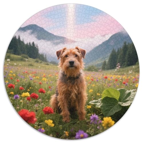 Irischer TerrierAnspruchsvolles Rundpuzzle MitHaustierhund, 1000 Teile Für Ruhige Sonntagnachmittage 1000pcs (67.5x67.5cm) von QEVAWPAE