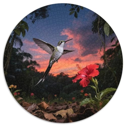 Langschwanz Sylph1000 Stück Rundes Puzzle Ruhiges Tempo Für Großeltern Und Kinder Sanftes GehirntrainingVogel Schönes Geschenk Familienspaß 1000pcs (67.5x67.5cm) von QEVAWPAE