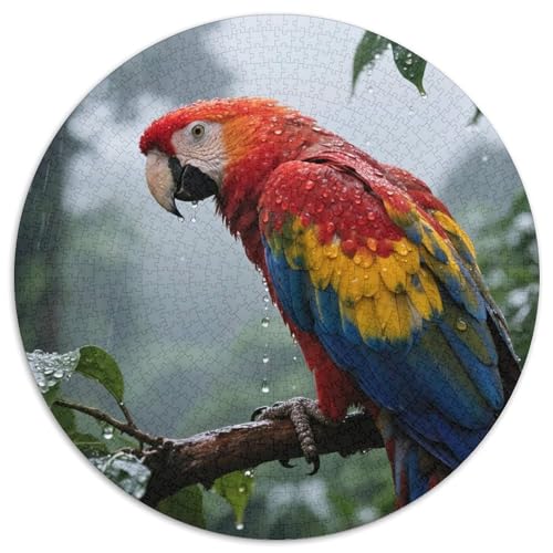 Macaw1000 Stück Rundes Puzzle Herausforderung Für Erwachsene Und Jugendliche GehirntrainingVogel Wohnzimmerdekoration Kunstfokus 1000pcs (67.5x67.5cm) von QEVAWPAE