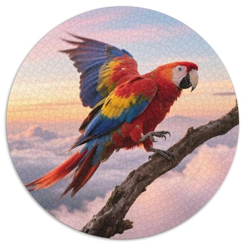 Macaw1000 Stück Rundes Puzzle Herausforderung Für Erwachsene Und Jugendliche GehirntrainingVogel Wohnzimmerdekoration Kunstfokus 1000pcs (67.5x67.5cm) von QEVAWPAE