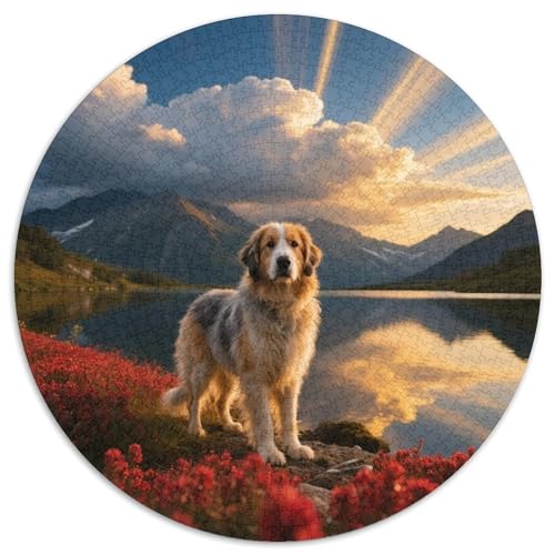 Norwegischer BuhundFarbenfrohes Rundes Puzzle MitHaustierhund, 1000 Teile Voller Magie, Für Wohnzimmer Oder Schlafzimmer 1000pcs (67.5x67.5cm) von QEVAWPAE