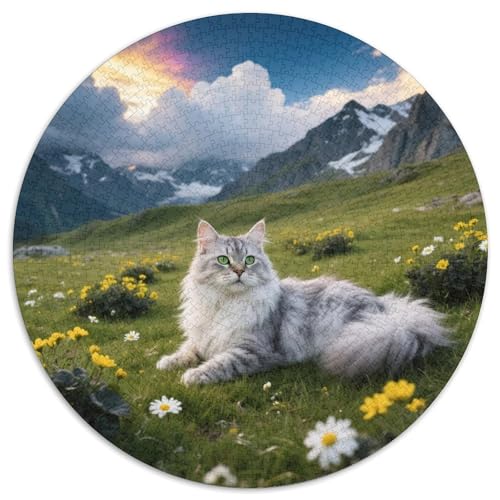 Orientalische LanghaareAnspruchsvolles Rundpuzzle MitHaustier Katze, 1000 Teile Für Denkspiele Im Freundeskreis 1000pcs (67.5x67.5cm) von QEVAWPAE