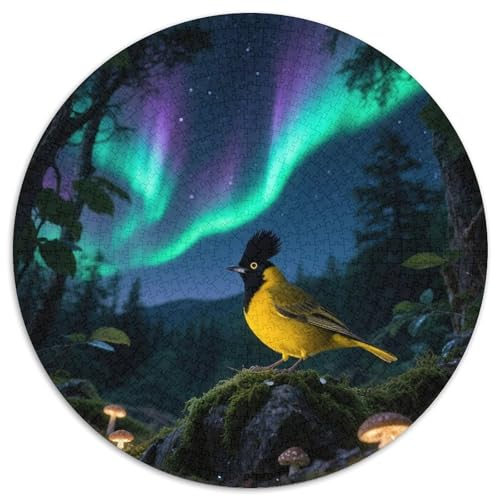 Oriole mit schwarzer Kappe1000 Stück Rundes Puzzle Einfach Für Anfänger Entspannendes HobbyVogel Ideal Für Wochenendaktivitäten Lernspiel 1000pcs (67.5x67.5cm) von QEVAWPAE