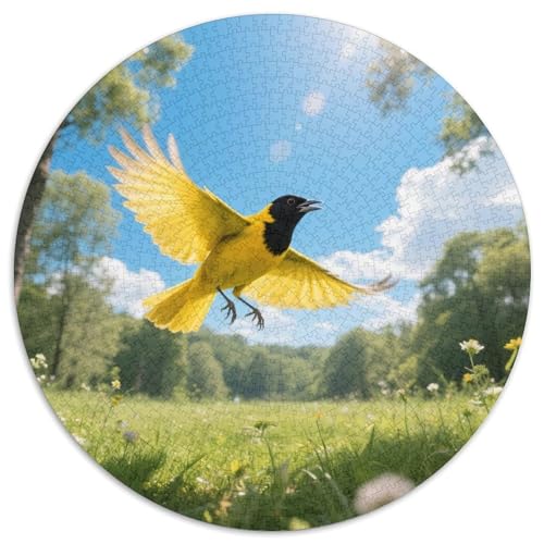 Oriole mit schwarzer Kappe1000 Stück Rundes Puzzle Hoher Schwierigkeitsgrad Für Experten Problemlösung Konzentration VerbesserungVogel Elegante Dekoration Geschenkidee 1000pcs (67.5x67.5cm) von QEVAWPAE