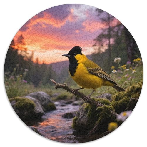 Oriole mit schwarzer Kappe1000 Stück Rundes Puzzle Interaktive Aktivität Familiäre Zusammenarbeit TrainingVogel Perfekt Für Regentage Wandkunst 1000pcs (67.5x67.5cm) von QEVAWPAE