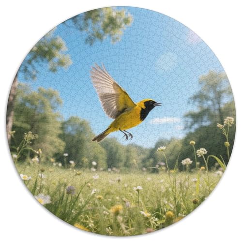 Oriole mit schwarzer Kappe1000 Stück Rundes Puzzle Mittlerer Schwierigkeitsgrad Für Paare Hand-Auge-KoordinationVogel Perfekt Für Wanddeko Geschenk 1000pcs (67.5x67.5cm) von QEVAWPAE