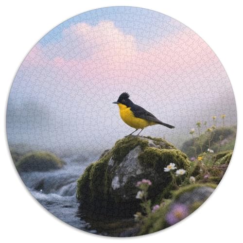 Oriole mit schwarzer Kappe1000 Stück Rundes Puzzle Unterhaltsames Logikspiel Für Paare Kreative InteraktionVogel Dekorationsidee Date Night 1000pcs (67.5x67.5cm) von QEVAWPAE