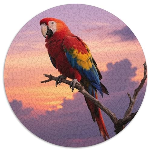 Papagei1000 Stück Rundes Puzzle Anspruchsvoll Für Erwachsene Mentales Training Geduld KonzentrationVogel Ideal Zur Entspannung Wandbild 1000pcs (67.5x67.5cm) von QEVAWPAE