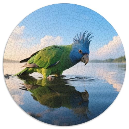 Papagei1000 Stück Rundes Puzzle Beliebt Bei Jugendlichen Leicht Koordination Pädagogisches SpielVogel Geeignet Für Klassenzimmer Kinderzimmer 1000pcs (67.5x67.5cm) von QEVAWPAE