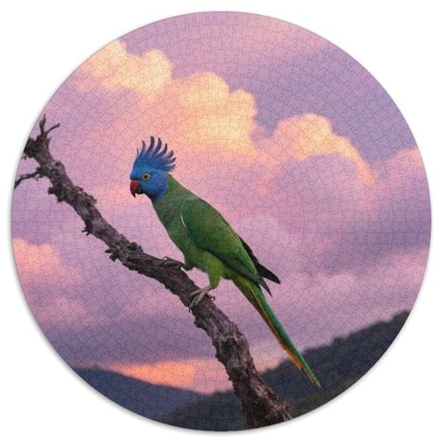 Papagei1000 Stück Rundes Puzzle Einfach Für Anfänger Entspannendes HobbyVogel Ideal Für Wochenendaktivitäten Lernspiel 1000pcs (67.5x67.5cm) von QEVAWPAE