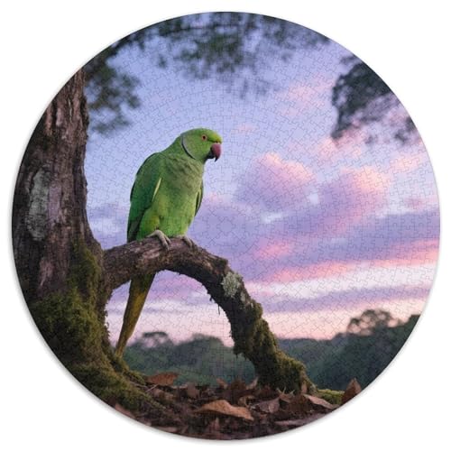 Papagei1000 Stück Rundes Puzzle Einfach Für Anfänger Entspannendes HobbyVogel Ideal Für Wochenendaktivitäten Lernspiel 1000pcs (67.5x67.5cm) von QEVAWPAE