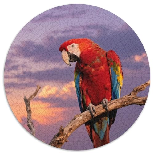Papagei1000 Stück Rundes Puzzle Fortgeschrittenes Niveau Für Jugendliche Und Erwachsene Gehirntraining Visuelles LernenVogel Optimal Für Bildungseinrichtungen 1000pcs (67.5x67.5cm) von QEVAWPAE