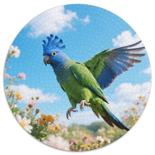 Papagei1000 Stück Rundes Puzzle Herausforderung Für Erwachsene Und Jugendliche GehirntrainingVogel Wohnzimmerdekoration Kunstfokus 1000pcs (67.5x67.5cm) von QEVAWPAE