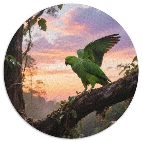 Papagei1000 Stück Rundes Puzzle Künstlerische Aufgabe Für Alle Altersgruppen Inspirierende KreativitätVogel Edles Geschenk Inneneinrichtung 1000pcs (67.5x67.5cm) von QEVAWPAE