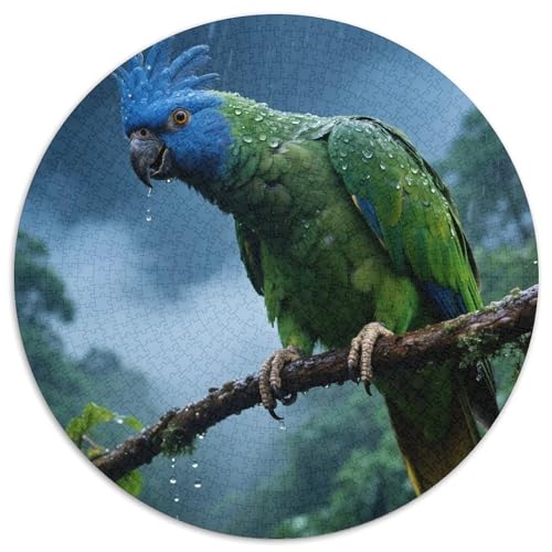 Papagei1000 Stück Rundes Puzzle Visuelle Komplexität Ab 10 Jahren MustererkennungVogel Kinderzimmer Dekoration Geschenkset 1000pcs (67.5x67.5cm) von QEVAWPAE