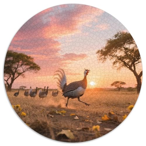 Perle Fasan1000 Stück Rundes Puzzle Anspruchsvoll Für Erwachsene Mentales Training Geduld KonzentrationVogel Ideal Zur Entspannung Wandbild 1000pcs (67.5x67.5cm) von QEVAWPAE