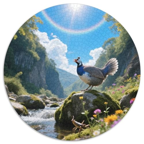 Perle Fasan1000 Stück Rundes Puzzle Fortgeschritten Für Puzzleenthusiasten Strategische PlanungVogel Festtagsgeschenk Rahmung Bereit 1000pcs (67.5x67.5cm) von QEVAWPAE