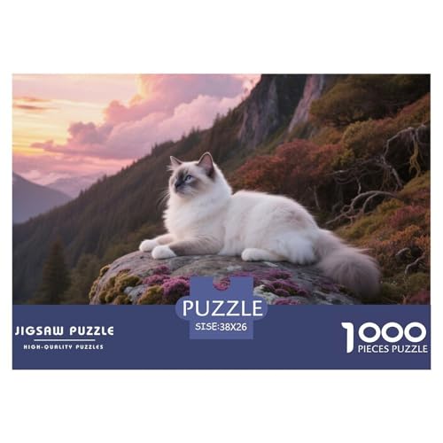 Ragdoll, 1000-Teile-Puzzlespiel, Spannende Herausforderung Für Die Ganze Familie, Ideal Für Heimdekoration, Ab 10 Jahren,Haustier Katze, 38x26cm/1000pcs Ragdoll, 1000-Teile-Puzzlespiel, Spannende Herausforderung Für Die Ganze Familie, Ideal Für Heimdekoration, Ab 10 Jahren,Haustier Katze, 38x26cm/1000pcs von QEVAWPAE