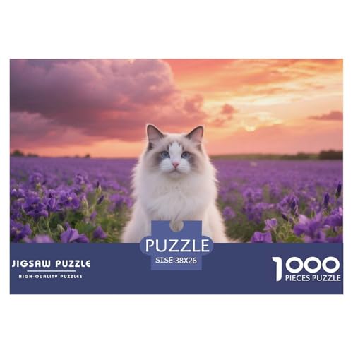 Ragdoll, 1000-Teile-Puzzlespiel, Visuell Beeindruckendes Design, Sammlerstück, Ab 10 Jahren,Haustier Katze, 38x26cm/1000pcs von QEVAWPAE
