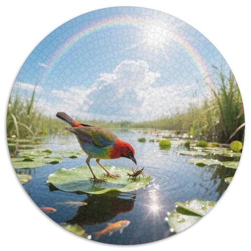 Regenbogen Lorikeet1000 Stück Rundes Puzzle Tiefe Herausforderung Für Puzzleexperten Strategie KonzentrationVogel Premium Geschenk Gerahmte Ausstellung 1000pcs (67.5x67.5cm) von QEVAWPAE