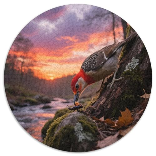 Rotbauchspech1000 Stück Rundes Puzzle Entspannte Puzzleabende Für Familie Und Freunde GedächtnisspielVogel Sammlerauswahl Wandkunst 1000pcs (67.5x67.5cm) von QEVAWPAE