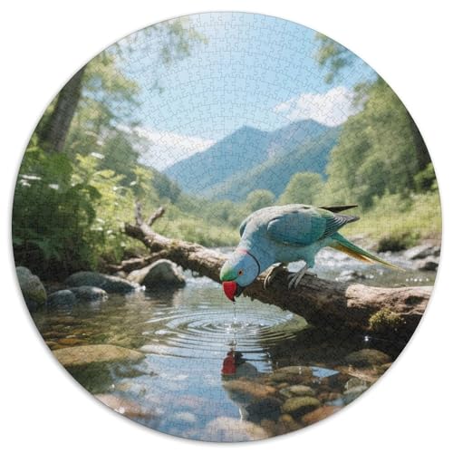 Rotblauer Papagei1000 Stück Rundes Puzzle Ausgewogene Schwierigkeit Für Alle Generationen Logische StärkungVogel Couchtisch Dekoration Wandaufhänger 1000pcs (67.5x67.5cm) von QEVAWPAE