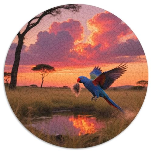 Rotblauer Papagei1000 Stück Rundes Puzzle Hoher Schwierigkeitsgrad Für Experten Problemlösung Konzentration VerbesserungVogel Elegante Dekoration Geschenkidee 1000pcs (67.5x67.5cm) von QEVAWPAE