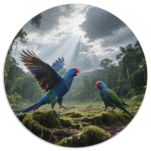 Rotblauer Papagei1000 Stück Rundes Puzzle Visuelle Komplexität Ab 10 Jahren MustererkennungVogel Kinderzimmer Dekoration Geschenkset 1000pcs (67.5x67.5cm) von QEVAWPAE