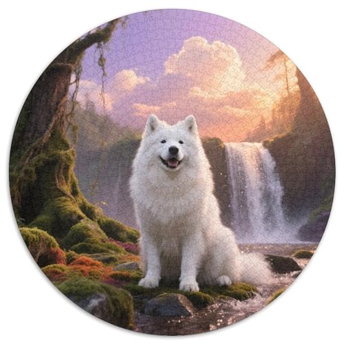 Samojed1000-teiliges Rundpuzzle MitHaustierhund, EIN Komplexes, Visuelles Erlebnis Für Das Kreative Zuhause 1000pcs (67.5x67.5cm) von QEVAWPAE