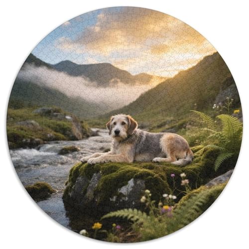 Schwedischer Vallhund1000-teiliges Rundpuzzle MitHaustierhund, EIN Anspruchsvolles Denkspiel Für Erwachsene, Ideal Für Ruhige Wochenenden 1000pcs (67.5x67.5cm) von QEVAWPAE