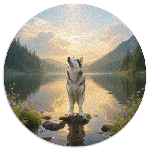 Sibirischer Husky1000 Teile Rundpuzzle MitHaustierhund, Entspannend Und Lehrreich, Für Jugendliche Und Erwachsene 1000pcs (67.5x67.5cm) von QEVAWPAE