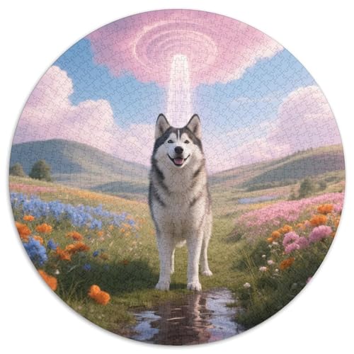 Sibirischer HuskyAnspruchsvolles 1000-teiliges Rundes Puzzle MitHaustierhund, Perfekt Für Kreative Köpfe Im Atelier Oder Hobbyraum 1000pcs (67.5x67.5cm) von QEVAWPAE