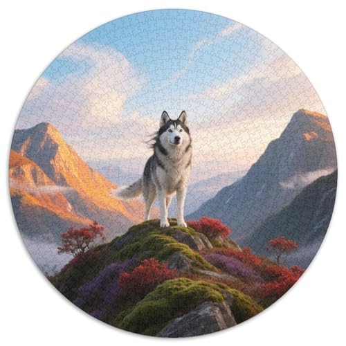 Sibirischer HuskyKreatives 1000-Teile-Rundpuzzle MitHaustierhund, EIN Ruhiger Zeitvertreib Für Regentage, Für Alle Ab 12 Jahren 1000pcs (67.5x67.5cm) von QEVAWPAE