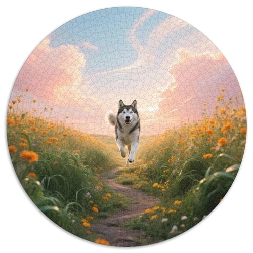 Sibirischer HuskyPuzzle Im Rundformat MitHaustierhund, 1000 Teile Als Anspruchsvolle Geduldsprobe 1000pcs (67.5x67.5cm) von QEVAWPAE