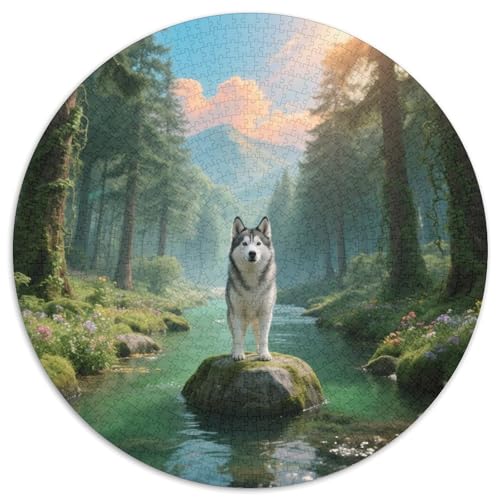 Sibirischer HuskyPuzzle MitHaustierhund, Rundes Format Und 1000 Teile, Ideal Zum Entspannen Nach Der Arbeit 1000pcs (67.5x67.5cm) von QEVAWPAE