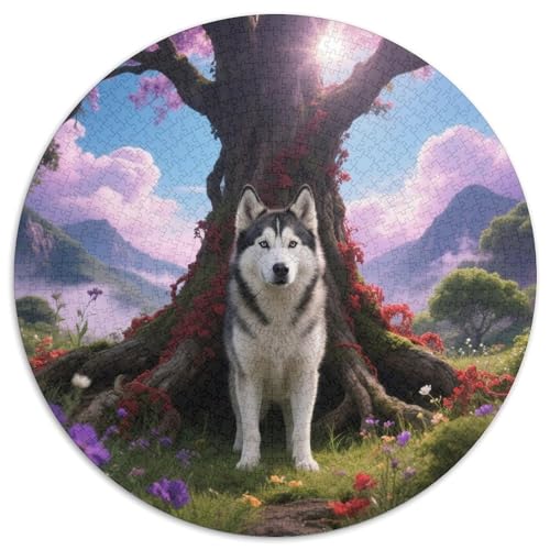 Sibirischer HuskyRundes Puzzle (1000 Teile) MitHaustierhund, Farbenprächtig Und Leicht Knifflig, Geeignet Für Wohnzimmer Oder Leseecke 1000pcs (67.5x67.5cm) von QEVAWPAE