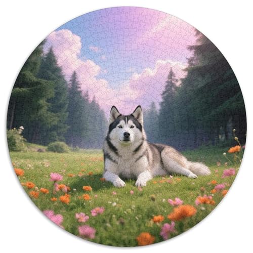 Sibirischer HuskySchönes Rundpuzzle MitHaustierhund, 1000 Teile Für Kreative Familiennachmittage 1000pcs (67.5x67.5cm) von QEVAWPAE