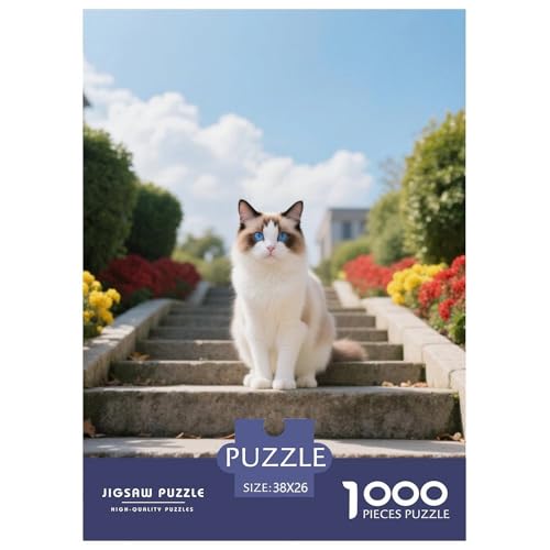 Snowshoe, 1000-Teile-Puzzlespiel, Harmonische Und Entspannende Freizeit, Geeignet Für Die Ganze Familie, Ab 10 Jahren,Haustier Katze, 38x26cm/1000pcs von QEVAWPAE