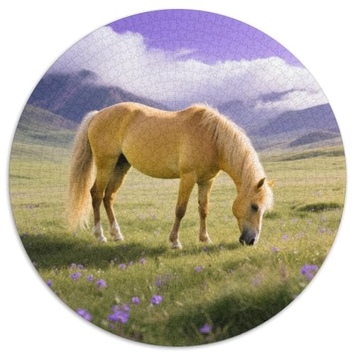 Zhua Huang Fei DianAnspruchsvolles Rundpuzzle MitPferd, 1000 Teile Für Denkspiele Im Freundeskreis 1000pcs (67.5x67.5cm) von QEVAWPAE